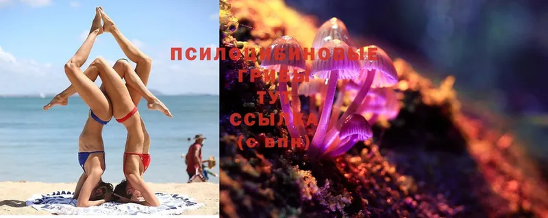 Галлюциногенные грибы MAGIC MUSHROOMS Лангепас